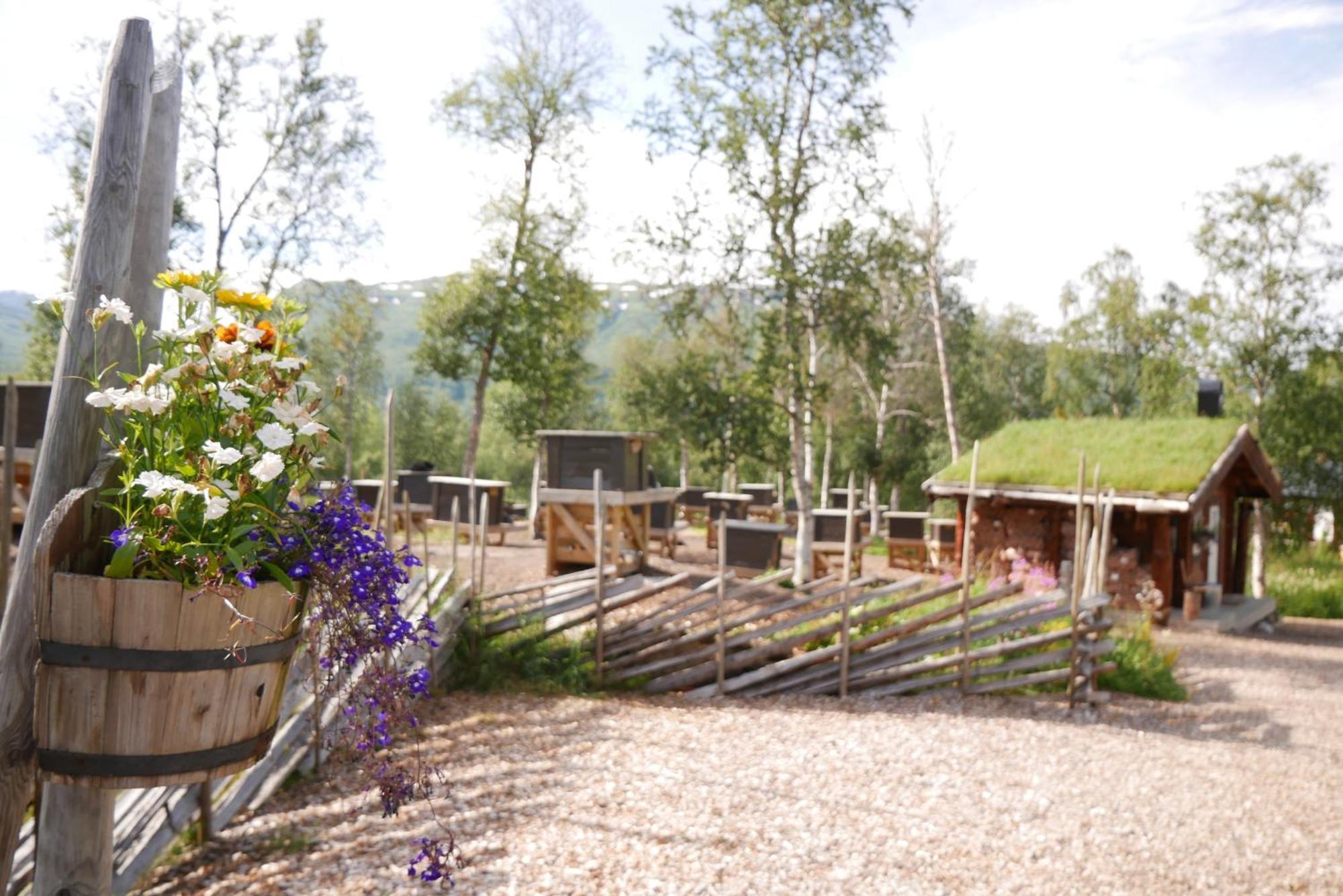 Bardu Huskylodge Luaran gambar