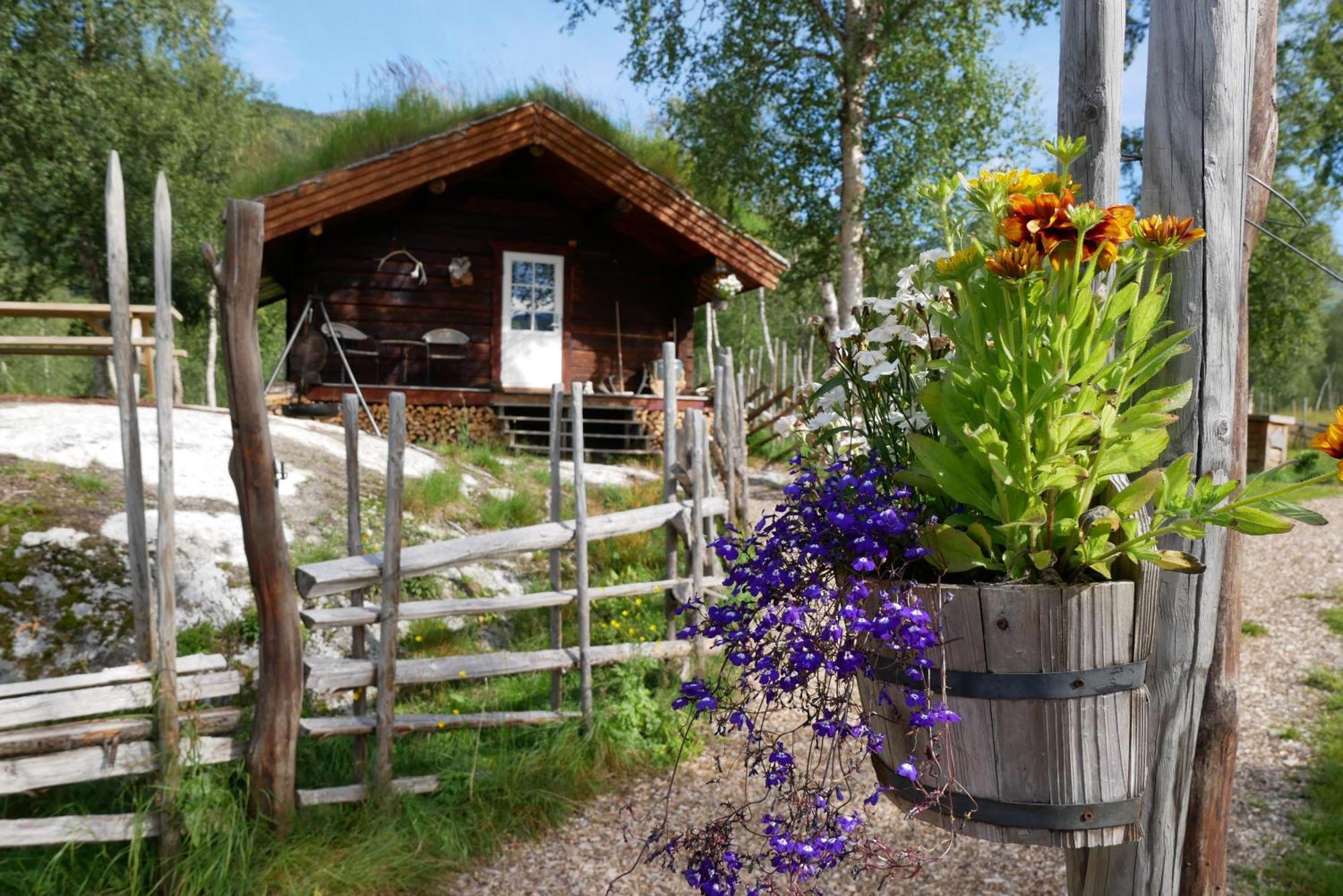Bardu Huskylodge Luaran gambar