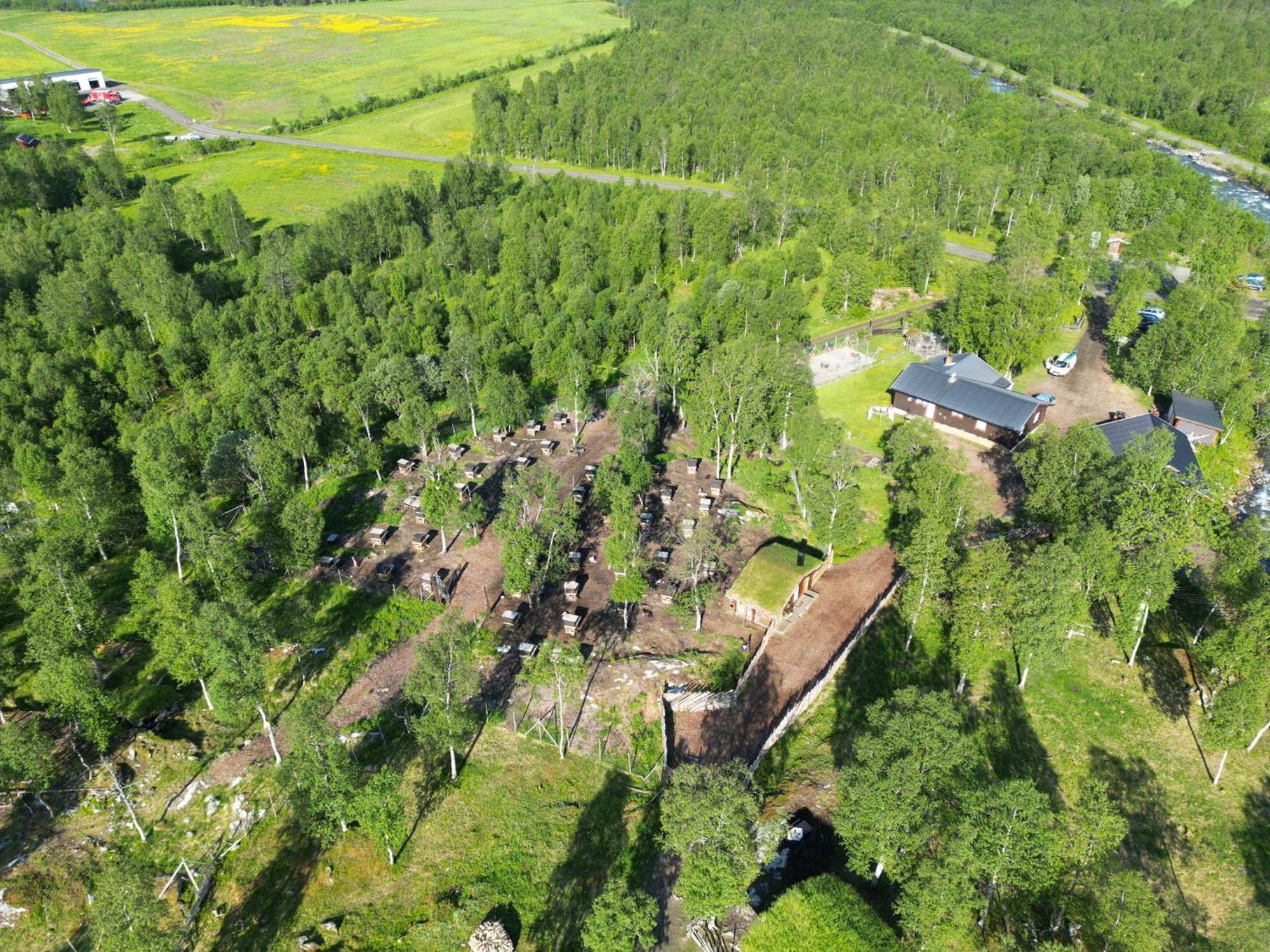 Bardu Huskylodge Luaran gambar