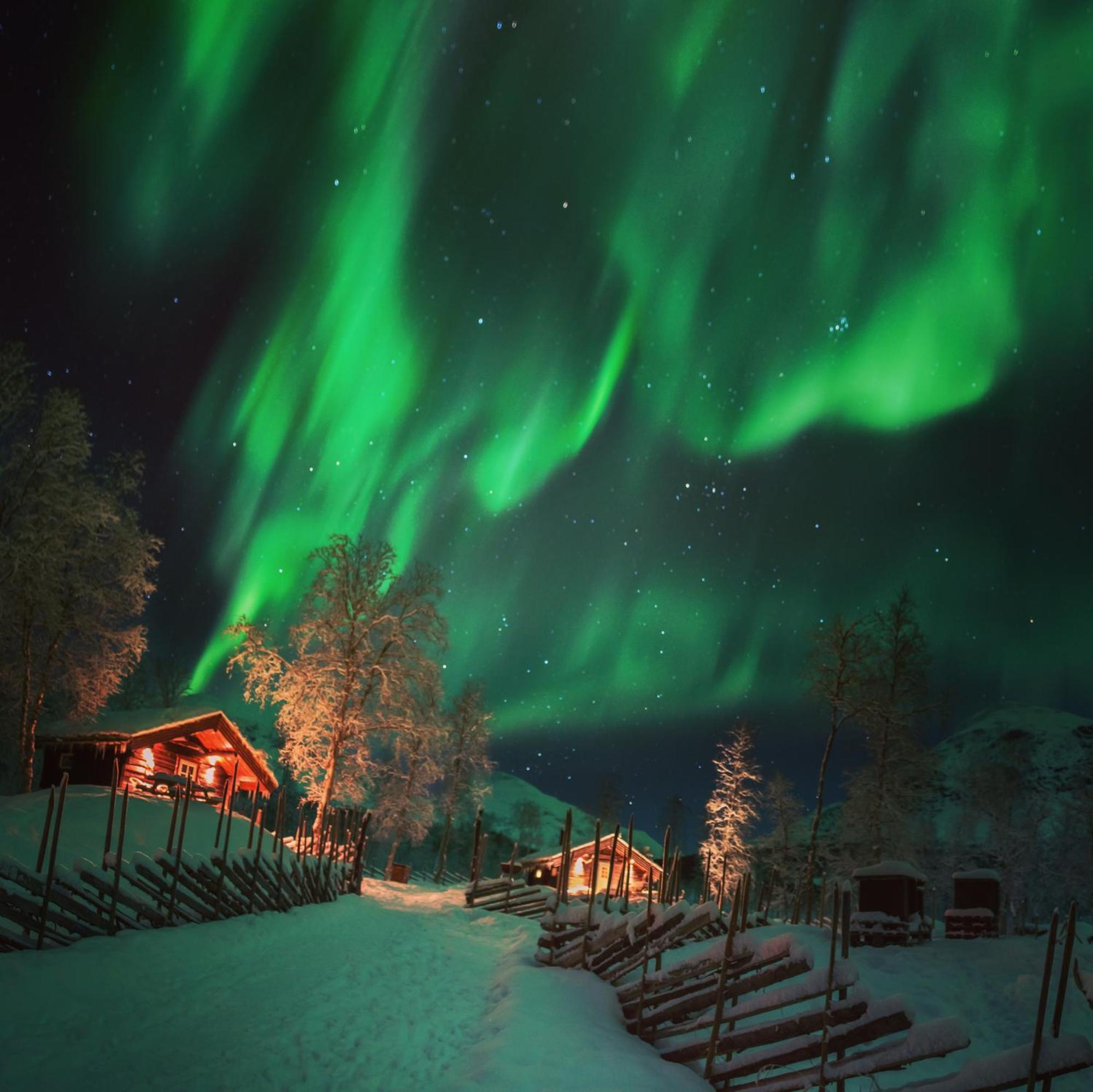 Bardu Huskylodge Luaran gambar