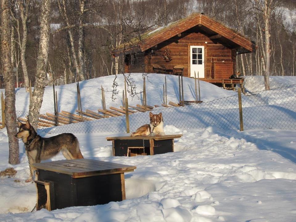 Bardu Huskylodge Luaran gambar