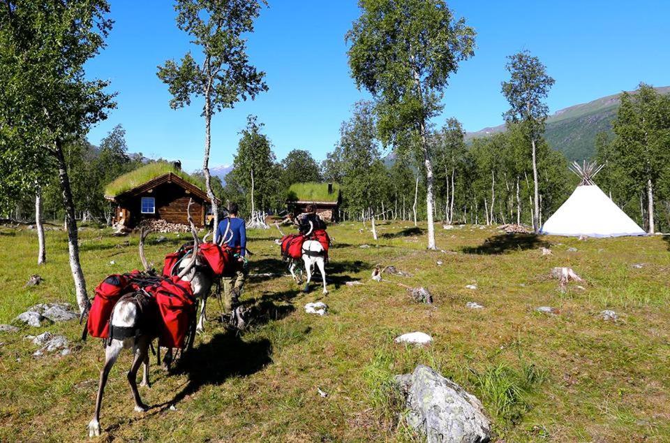 Bardu Huskylodge Luaran gambar