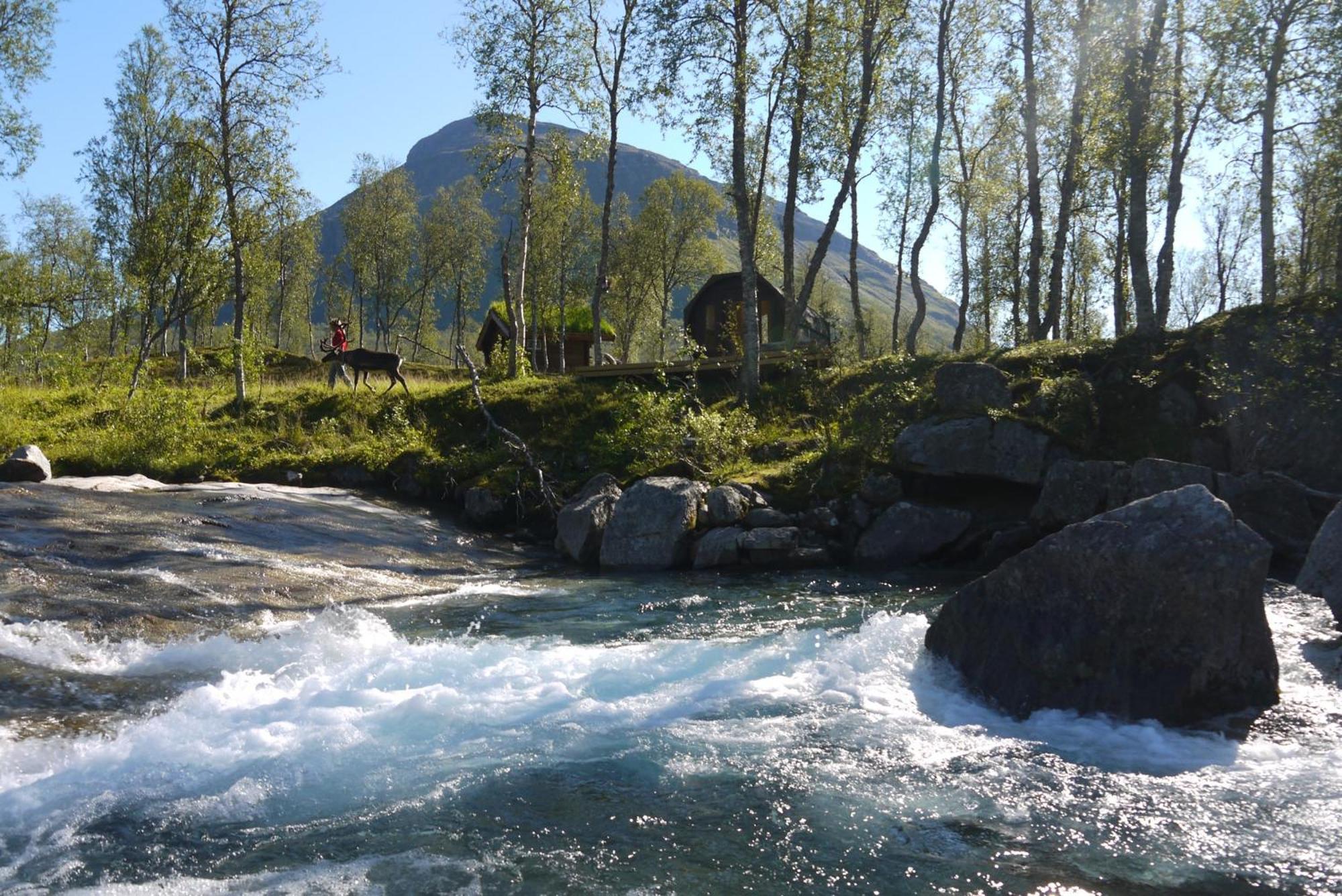 Bardu Huskylodge Luaran gambar