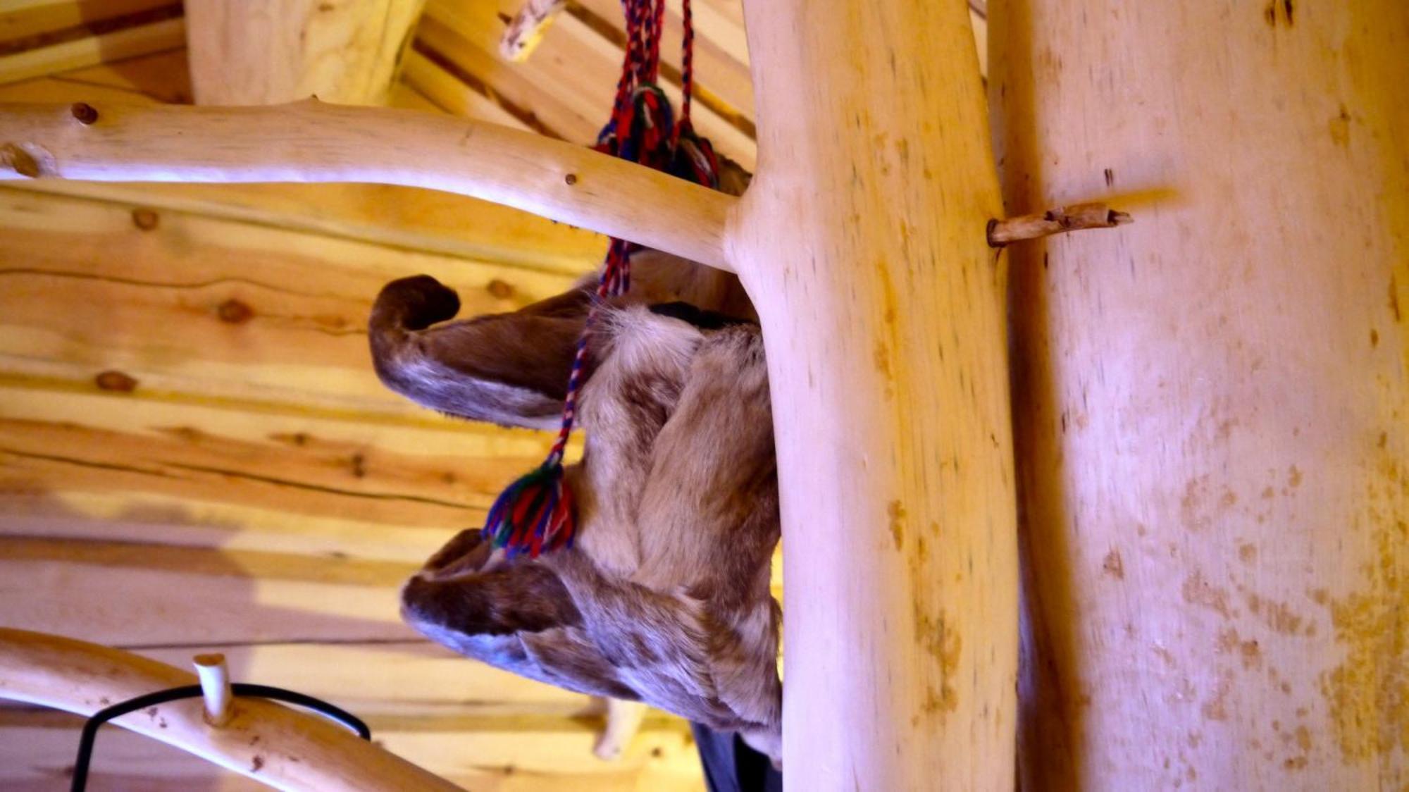 Bardu Huskylodge Luaran gambar